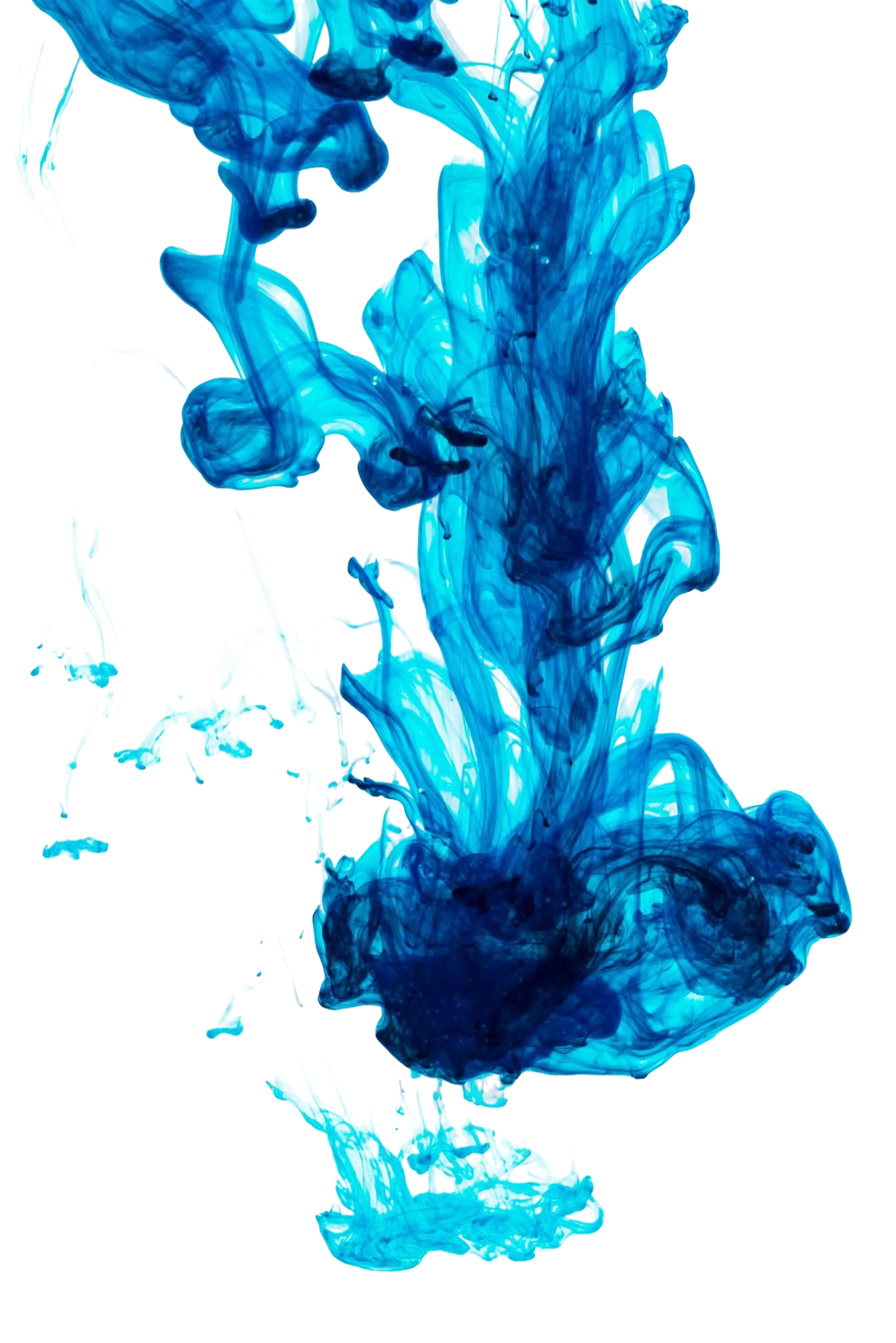 Header background